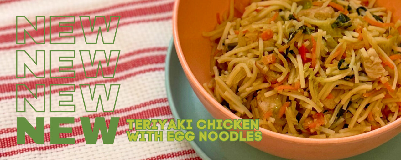 Teriyaki Chicken with Egg Noodles